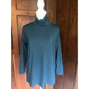 Womens J Jill Luxe Supima Cotton Turtleneck Tunic Long‎ Sleeve - Blue Size Small